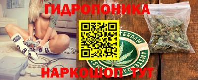 гидра Новозыбков