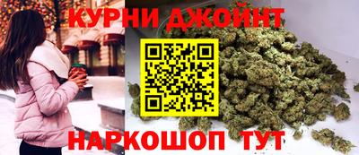 гидра Новозыбков